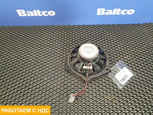 Динамик двери